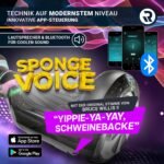 Robway W1 Original Hoverboard, Branded Battery, Self-Balancing, 22 Colours, Bluetooth, 2 x 350 Watt Motors, App, LED